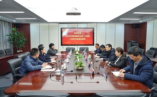 玉環(huán)市委常委、楚門鎮(zhèn)黨委書記張玉潔一行調(diào)研中非經(jīng)貿(mào)港