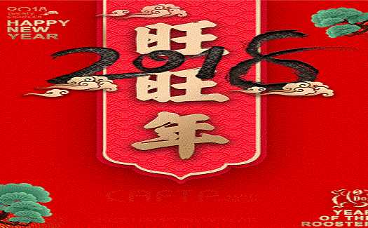 中非經(jīng)貿(mào)港新春晚會十八般武藝齊上陣，精彩紛呈，為大家拜年啦！